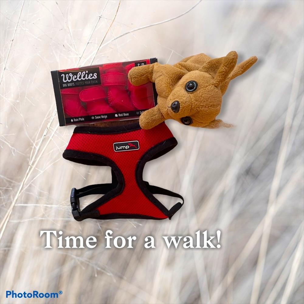 Small dog 🐶 harness and NWOT ❄️ ☔️ booties